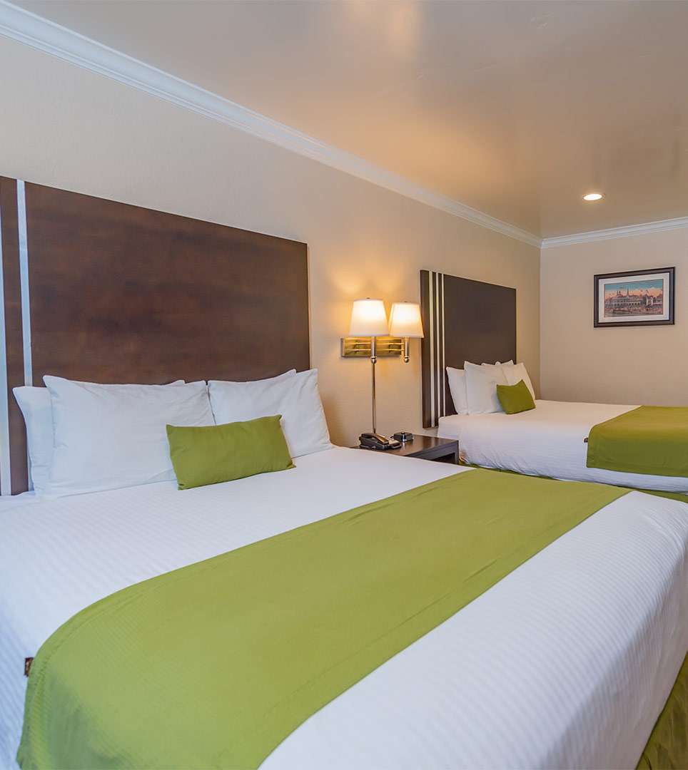 SPACIOUS GUEST ROOMS THAT ARE DESIGNED FOR YOUR COMFORT